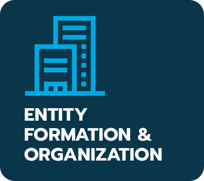 Entity Formation & Organization