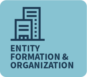 Entity-Formation-Organization
