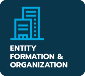 Entity Formation & Organization